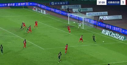 陶强龙1.gif