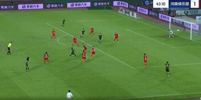 陶强龙2.gif